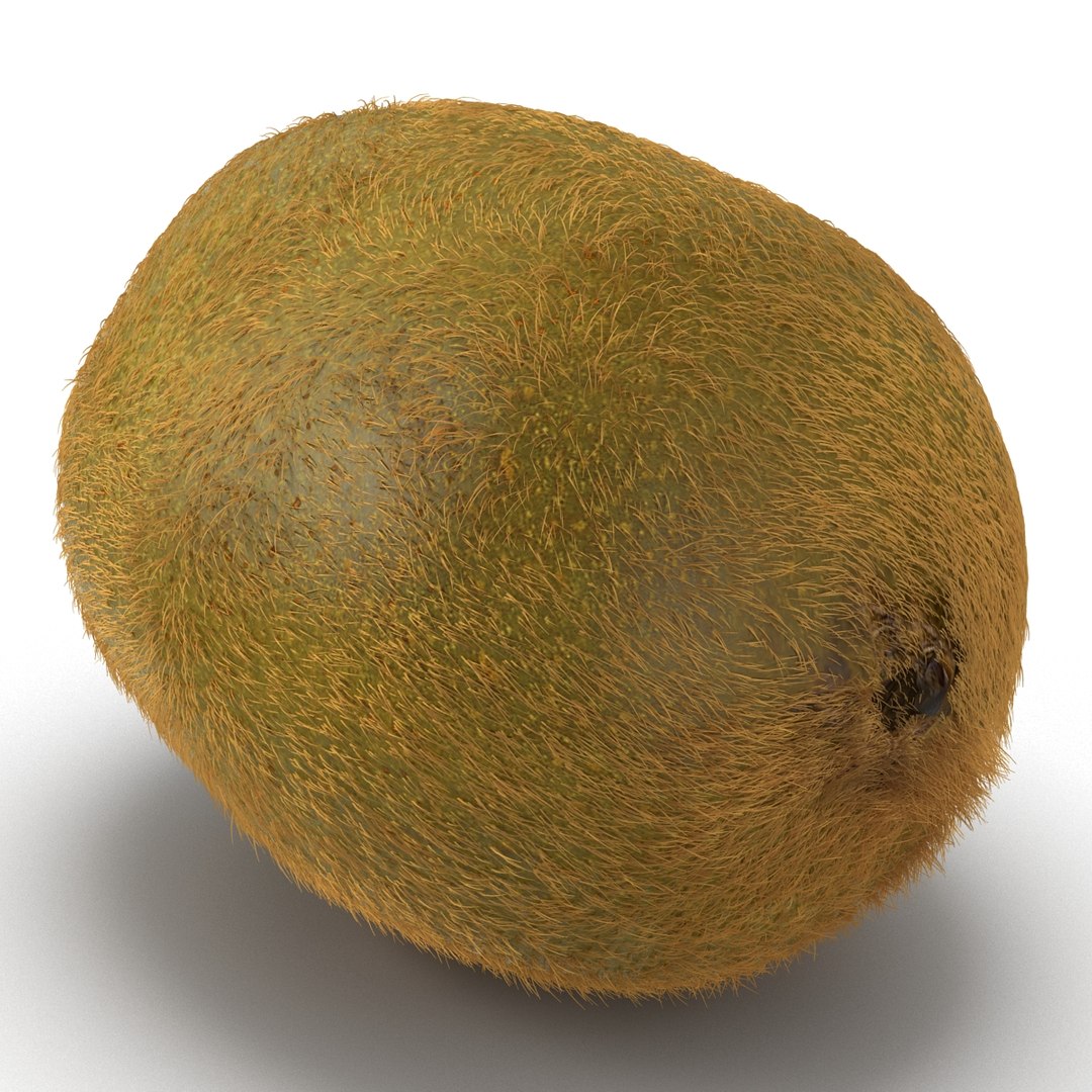 3d kiwi 2 fur modeled https://p.turbosquid.com/ts-thumb/pa/9egYuh/AfQHEvkZ/kiwiwithfur3dmodel02/jpg/1425394778/1920x1080/fit_q87/ae05a39f99ffaf38a0380b7ece7a2b27e0eb2647/kiwiwithfur3dmodel02.jpg