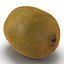 Kiwi 2 with Fur 3D Model