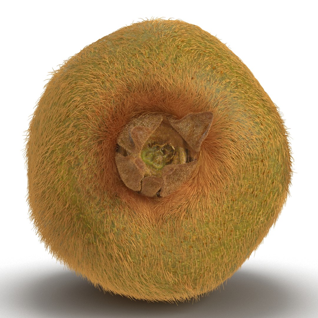 3d kiwi 2 fur modeled https://p.turbosquid.com/ts-thumb/pa/9egYuh/DqCTBo9Z/kiwiwithfur3dmodel07/jpg/1425394779/1920x1080/fit_q87/c3ef5a980653ec01238251e7d79903b3ce1da331/kiwiwithfur3dmodel07.jpg