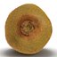 Kiwi 2 with Fur 3D Model