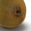 Kiwi 2 with Fur 3D Model