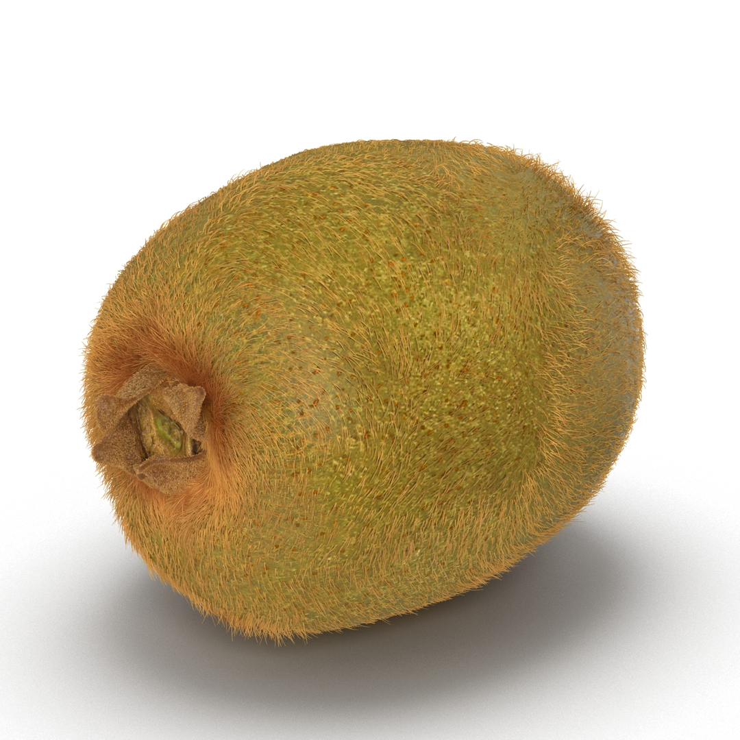 3d kiwi 2 fur modeled https://p.turbosquid.com/ts-thumb/pa/9egYuh/PMn6qrnq/kiwi_2_fur_360/jpg/1425394491/1920x1080/turn_fit_q99/09f14b461fc7e59b51f399f73841f83cbfd1dd54/kiwi_2_fur_360-1.jpg