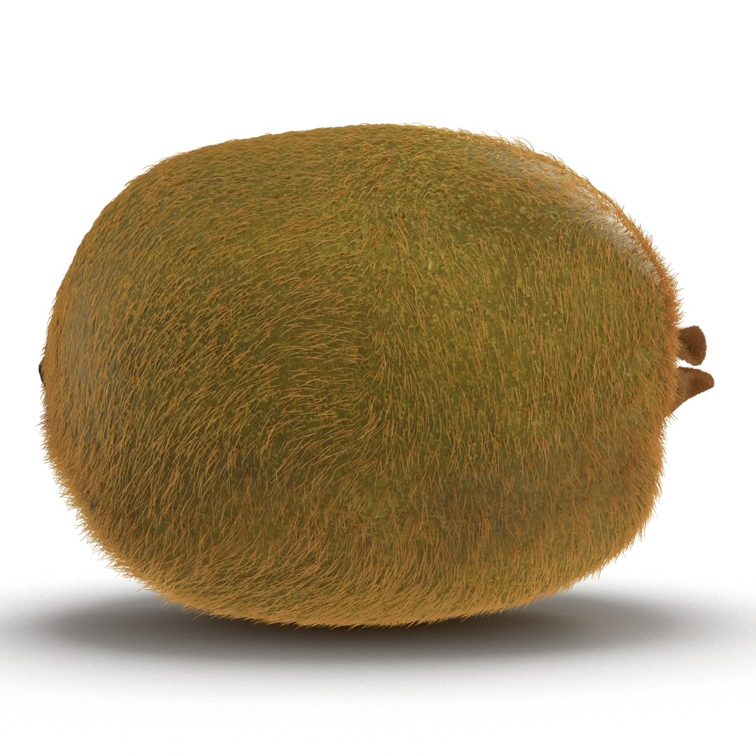 3d kiwi 2 fur modeled https://p.turbosquid.com/ts-thumb/pa/9egYuh/Q1jbF3hS/kiwiwithfur3dmodel08/jpg/1425394779/1920x1080/fit_q87/f2139c5f8db1295da159ab2495b1e208be1826b0/kiwiwithfur3dmodel08.jpg