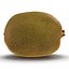 Kiwi 2 with Fur 3D Model