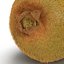 Kiwi 2 with Fur 3D Model