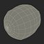 Kiwi 2 with Fur 3D Model
