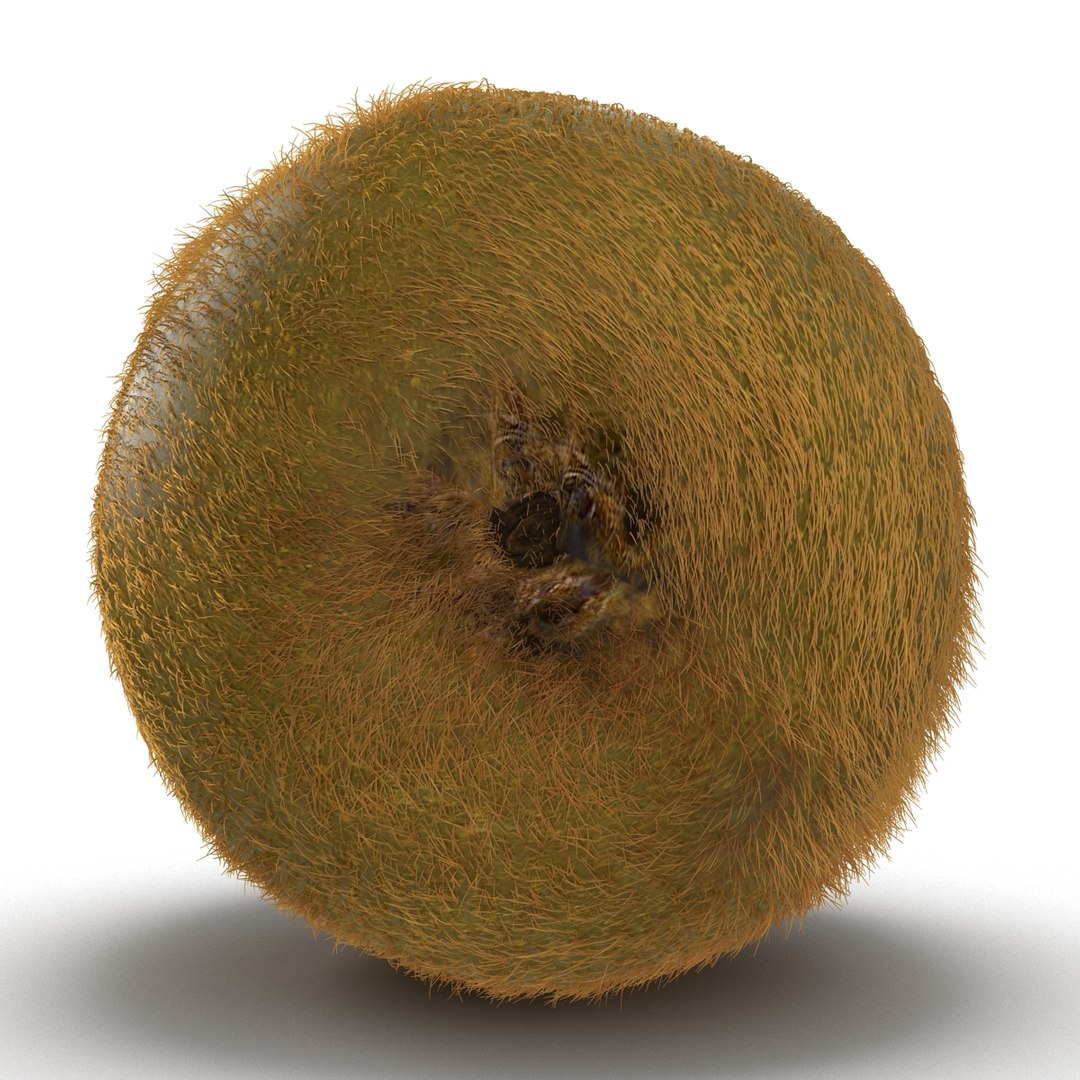 3d kiwi 2 fur modeled https://p.turbosquid.com/ts-thumb/pa/9egYuh/dNwmQlnr/kiwiwithfur3dmodel09/jpg/1425394779/1920x1080/fit_q87/3b3c0cc96fb340741ad0c62be4077d6911c7be41/kiwiwithfur3dmodel09.jpg