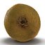 Kiwi 2 with Fur 3D Model