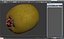 Kiwi 2 with Fur 3D Model