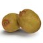 Kiwi 2 with Fur 3D Model