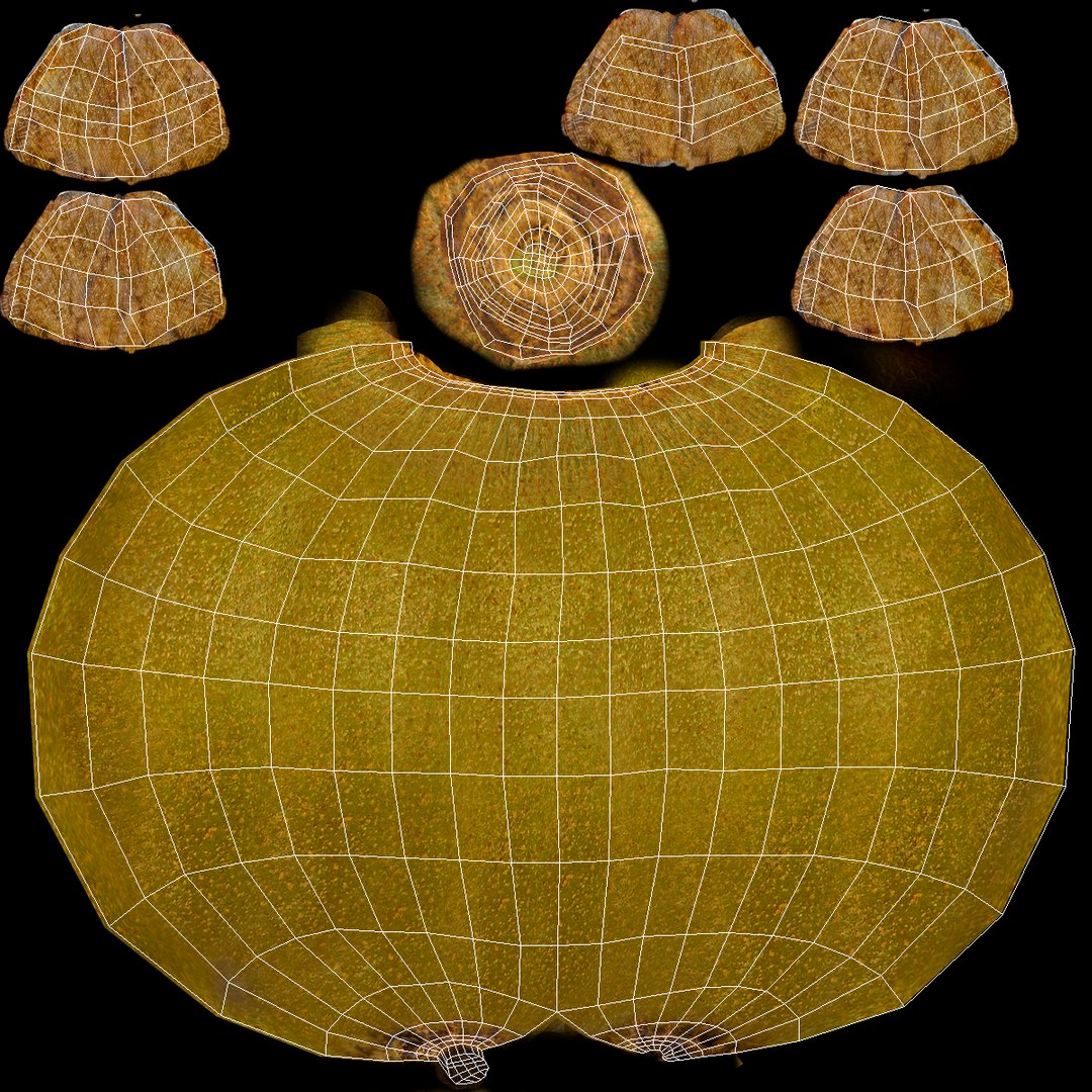 3d kiwi 2 fur modeled https://p.turbosquid.com/ts-thumb/pa/9egYuh/oRU3un7L/kiwiwithfur3dmodel14/jpg/1425394779/1920x1080/fit_q87/ddbdf231ef1a8b193812c7fa5b746fea114638fd/kiwiwithfur3dmodel14.jpg