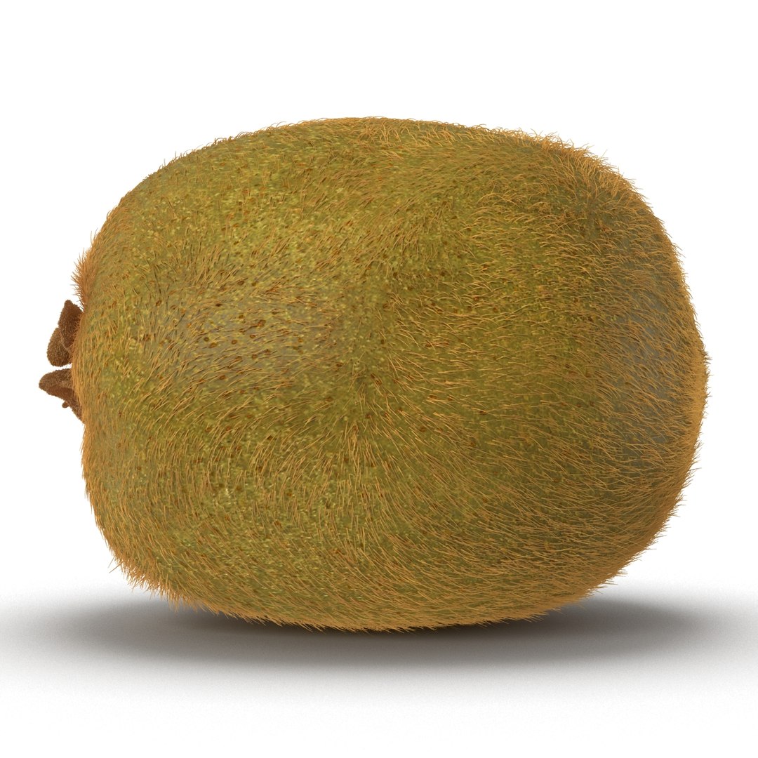 3d kiwi 2 fur modeled https://p.turbosquid.com/ts-thumb/pa/9egYuh/poqjpqi8/kiwiwithfur3dmodel06/jpg/1425394778/1920x1080/fit_q87/de9e2ff714a0664d30580c9b02d4d0de50659748/kiwiwithfur3dmodel06.jpg