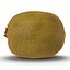 Kiwi 2 with Fur 3D Model