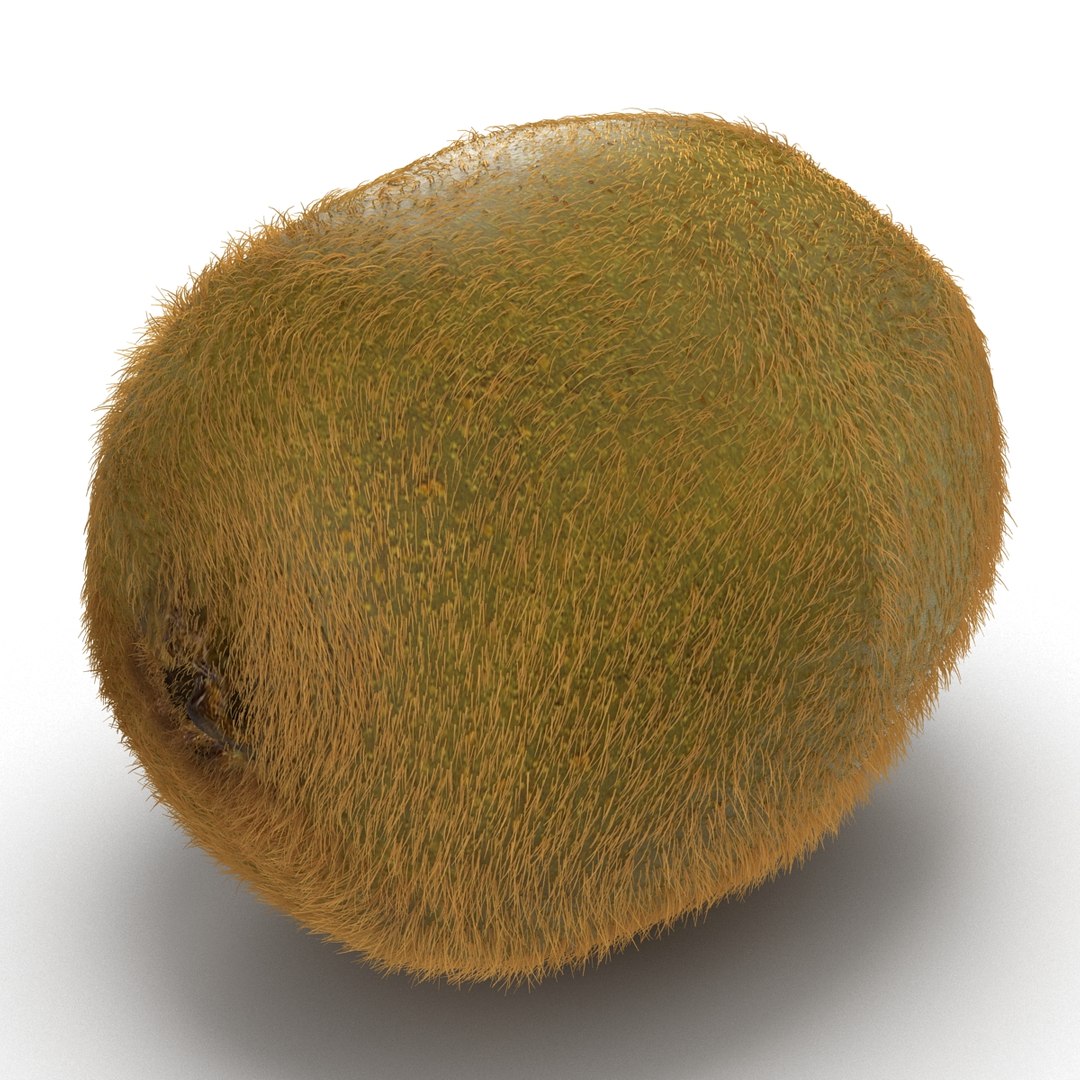 3d kiwi 2 fur modeled https://p.turbosquid.com/ts-thumb/pa/9egYuh/vpKMFpW3/kiwiwithfur3dmodel05/jpg/1425394778/1920x1080/fit_q87/4149d130ac4d8e6d6f72f54ea430e609cb670bb9/kiwiwithfur3dmodel05.jpg