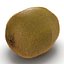 Kiwi 2 with Fur 3D Model