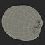 Kiwi 2 with Fur 3D Model
