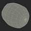 Kiwi 2 with Fur 3D Model
