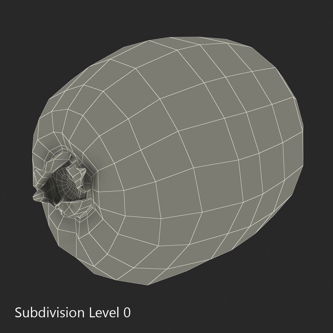 3d kiwi 2 fur modeled https://p.turbosquid.com/ts-thumb/pa/9egYuh/yln7lPEX/kiwiwithfur3dmodel12/jpg/1425394779/1920x1080/fit_q87/1e0549e30bb2202eafe6876cfa6606cf360eb0f2/kiwiwithfur3dmodel12.jpg