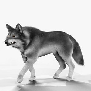 Wolf Rigged 3D Model 3D model