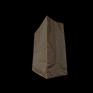 3ds brown bag