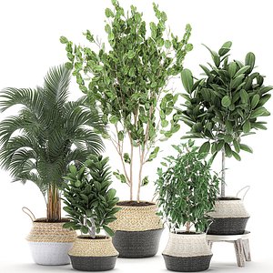decorative interior baskets trees 3D