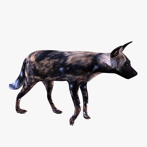 hyena dog 3d model