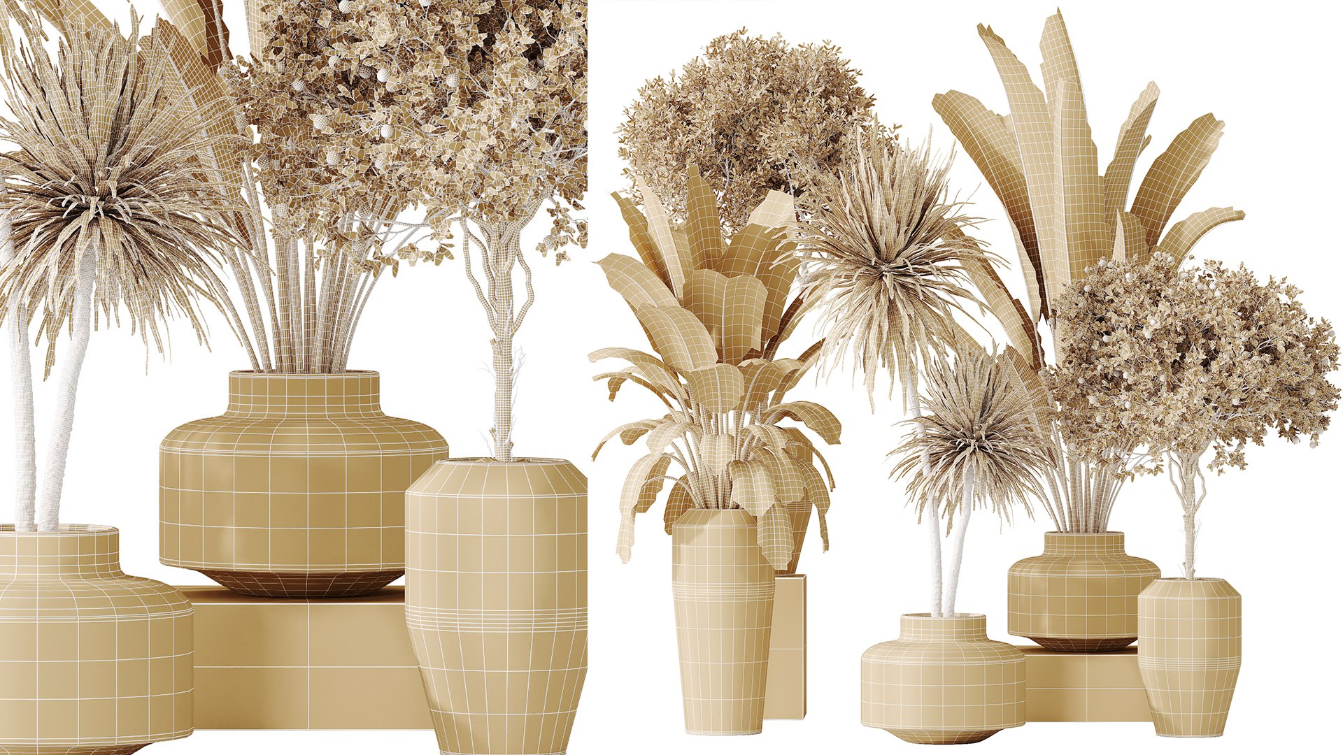 3D model AV Indoor plants set 196 Citrus Fruit Orange and Arbequina Olive and Robusta Abidjan and Aloifolia R https://p.turbosquid.com/ts-thumb/pa/cHNotf/Nl/07/png/1741851156/1920x1080/fit_q87/ee96a938a5b464c6db18ab6b75230f80cad6b862/07.jpg