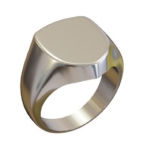SIGNET RING SHIELD BLENDER