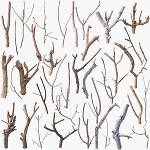 Twigs Scanned Collection 3D model