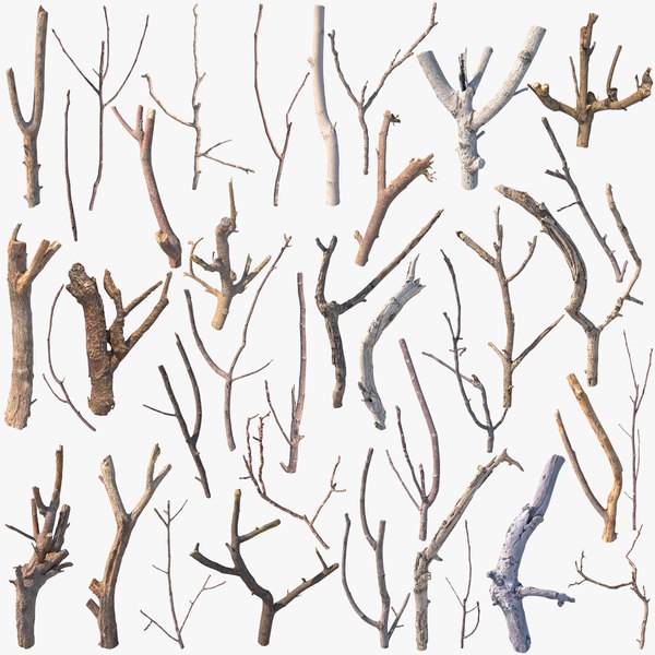 dry twig 3d max