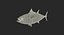 3D rigged fishes 4