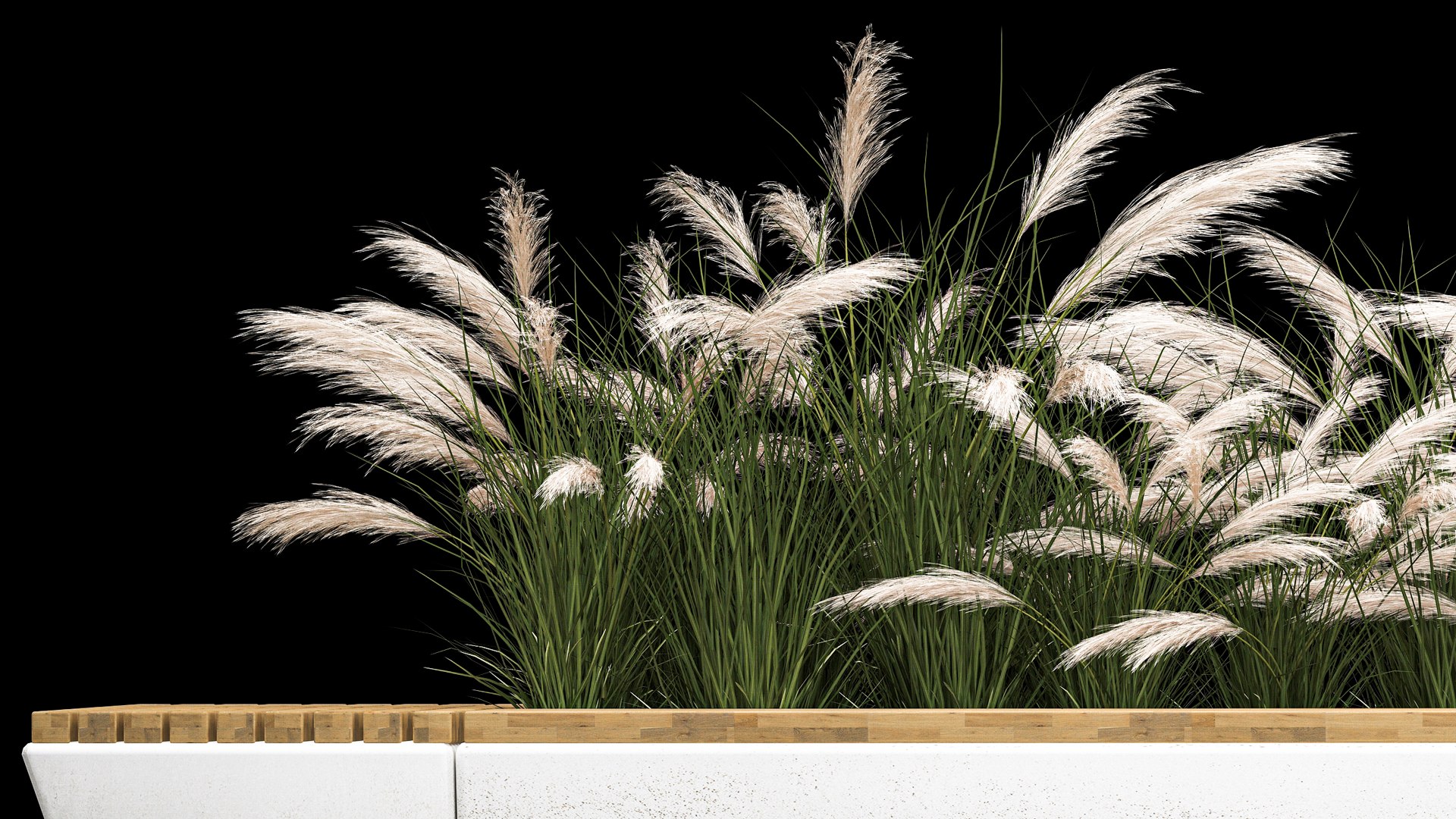 3D Flowerbed Bench With Bushes Feather Grass 1134 - TurboSquid 1979493