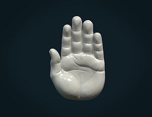 3D palm model