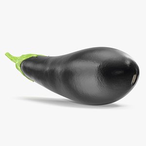 3D Globe Eggplant Black