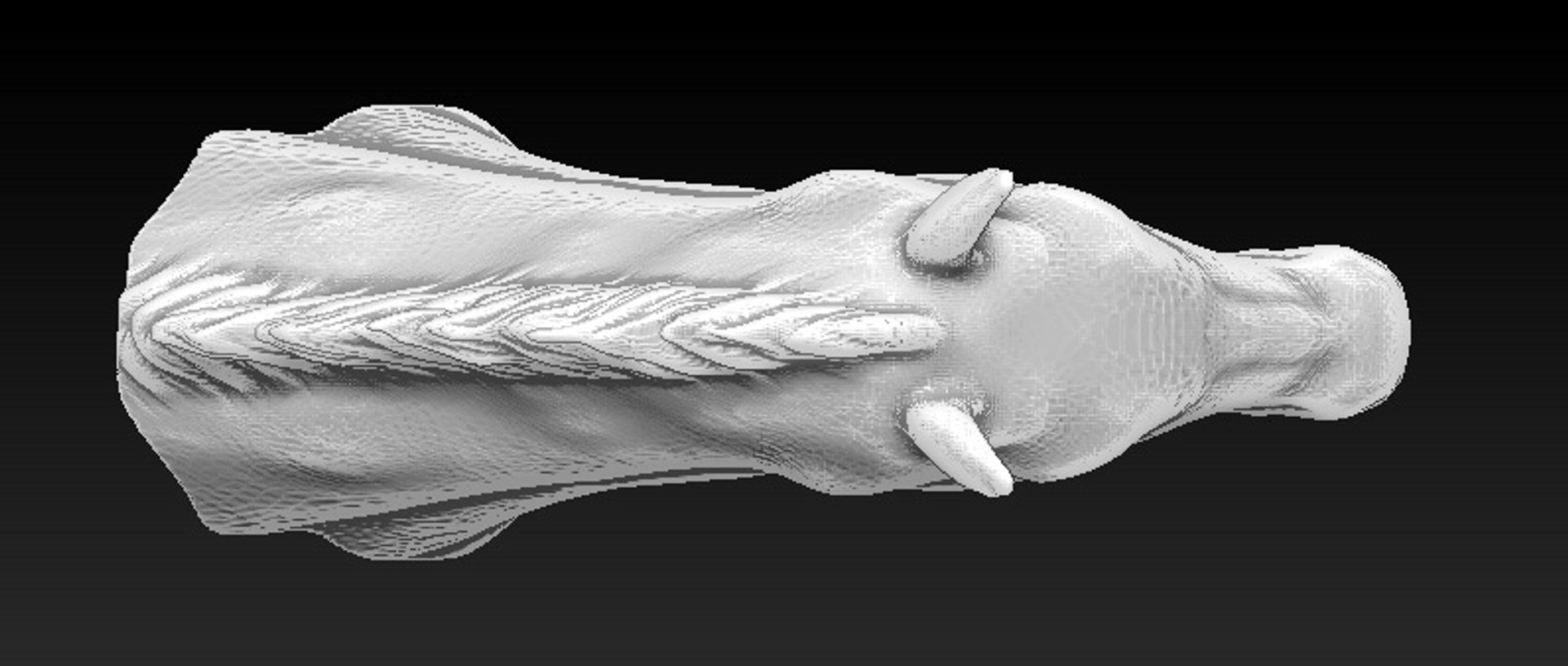 horse head 3d model https://p.turbosquid.com/ts-thumb/pb/GfjYsH/MvChLQG2/04/jpg/1457282802/1920x1080/fit_q87/a06dbbdcf032f5514b4585247a9761e0c5afa620/04.jpg