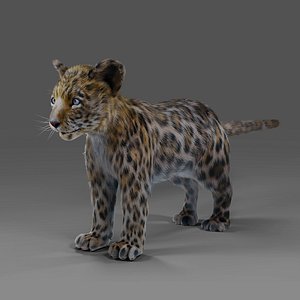 3D Fur Baby Jaguar No Rigged