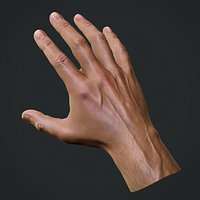 Realistic Male Hand
