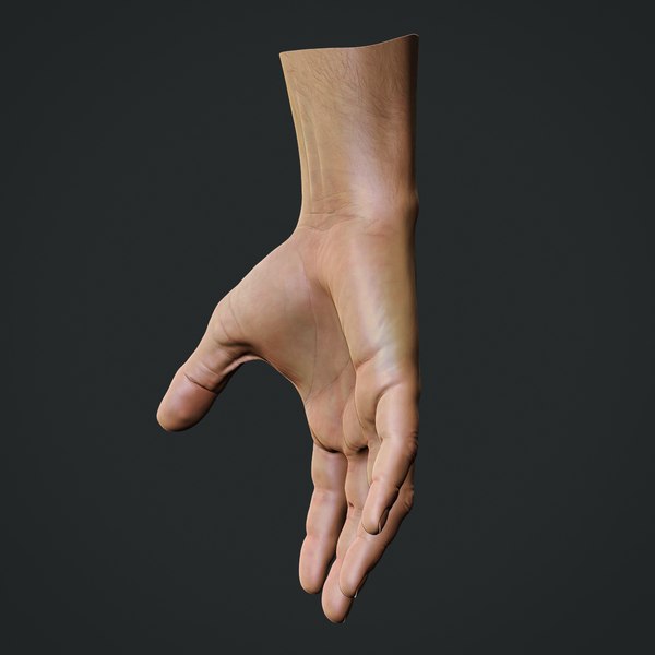 realistic male hand obj