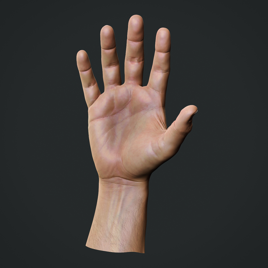 Realistic Male Hand Obj