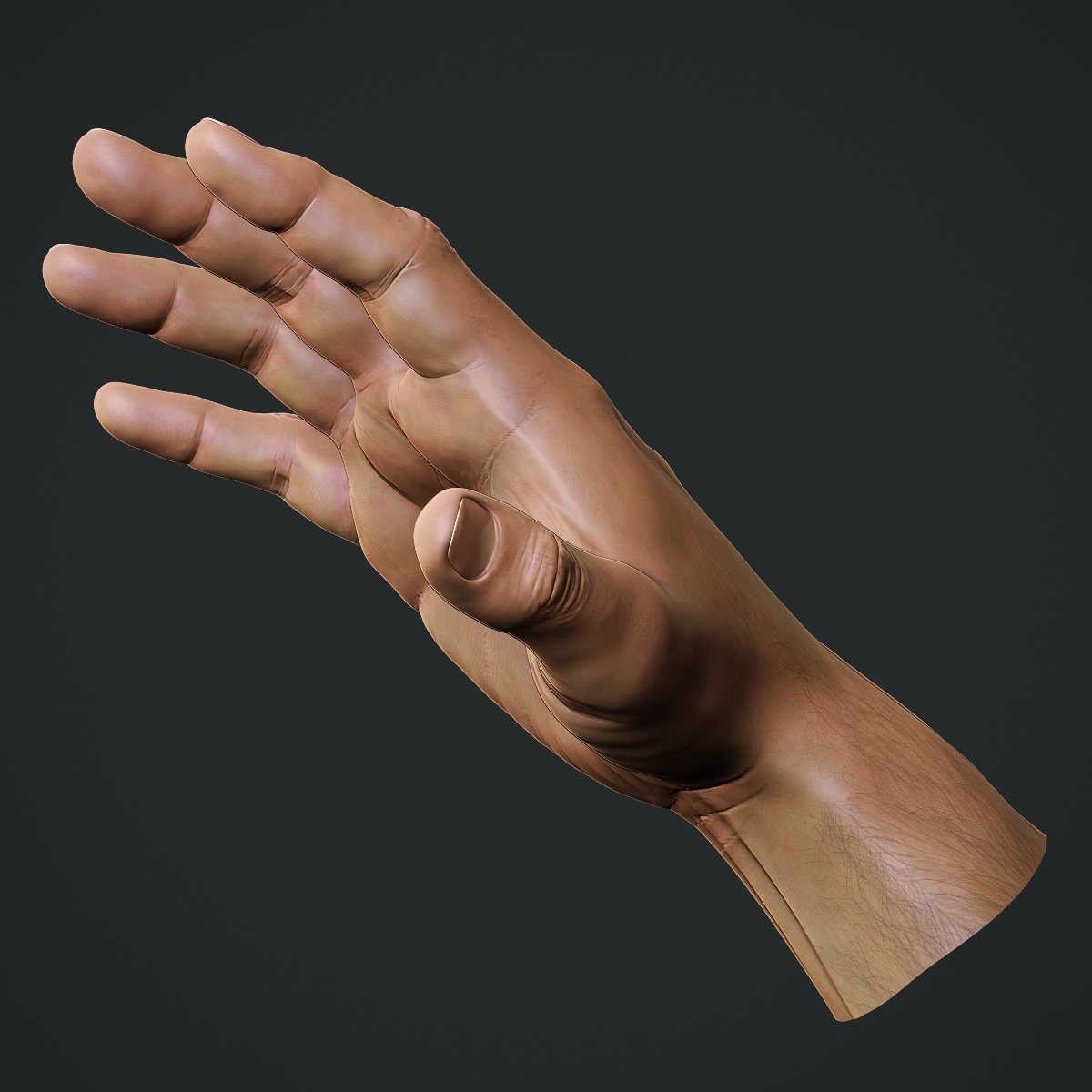 Realistic Male Hand Obj