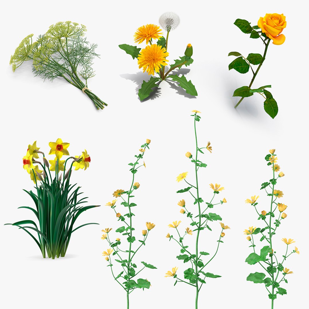 3D model Yellow Flowering Plants Collection 3 https://p.turbosquid.com/ts-thumb/pb/oOYwZf/Bf/yellow_flowering_plants_collection_3_000/jpg/1763129462/1920x1080/fit_q87/0f6bc4cf0c88c55cbaf169431a318ab8b1d0ae7f/yellow_flowering_plants_collection_3_000.jpg