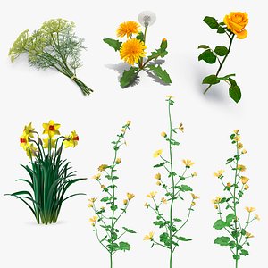 Yellow Flowering Plants Collection 3