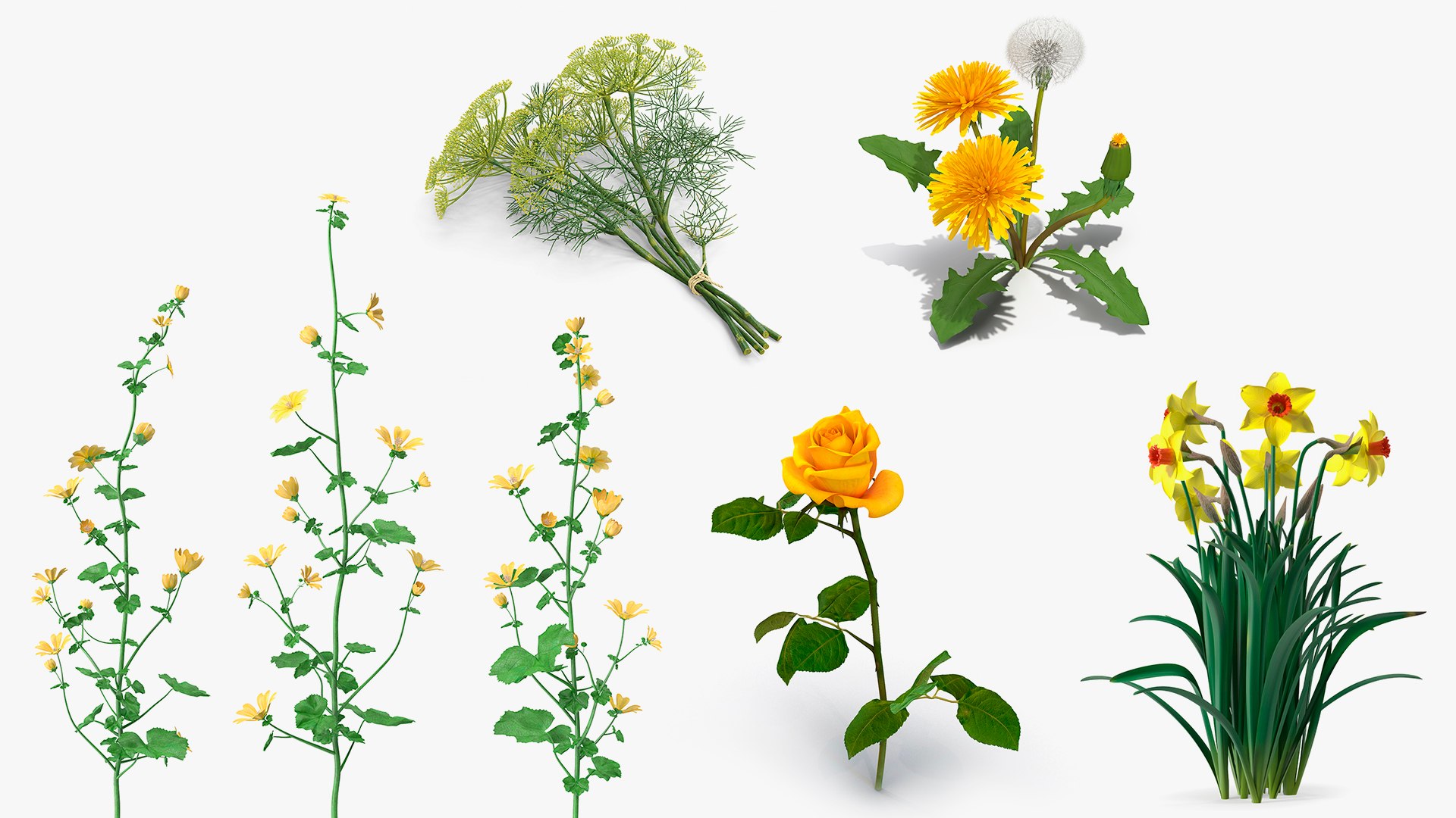 3D model Yellow Flowering Plants Collection 3 https://p.turbosquid.com/ts-thumb/pb/oOYwZf/I3/yellow_flowering_plants_collection_3_001/jpg/1763129464/1920x1080/fit_q87/b9eb32b2e1d579430a542ed5cc30a15a39669a54/yellow_flowering_plants_collection_3_001.jpg