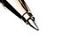 Penna classica