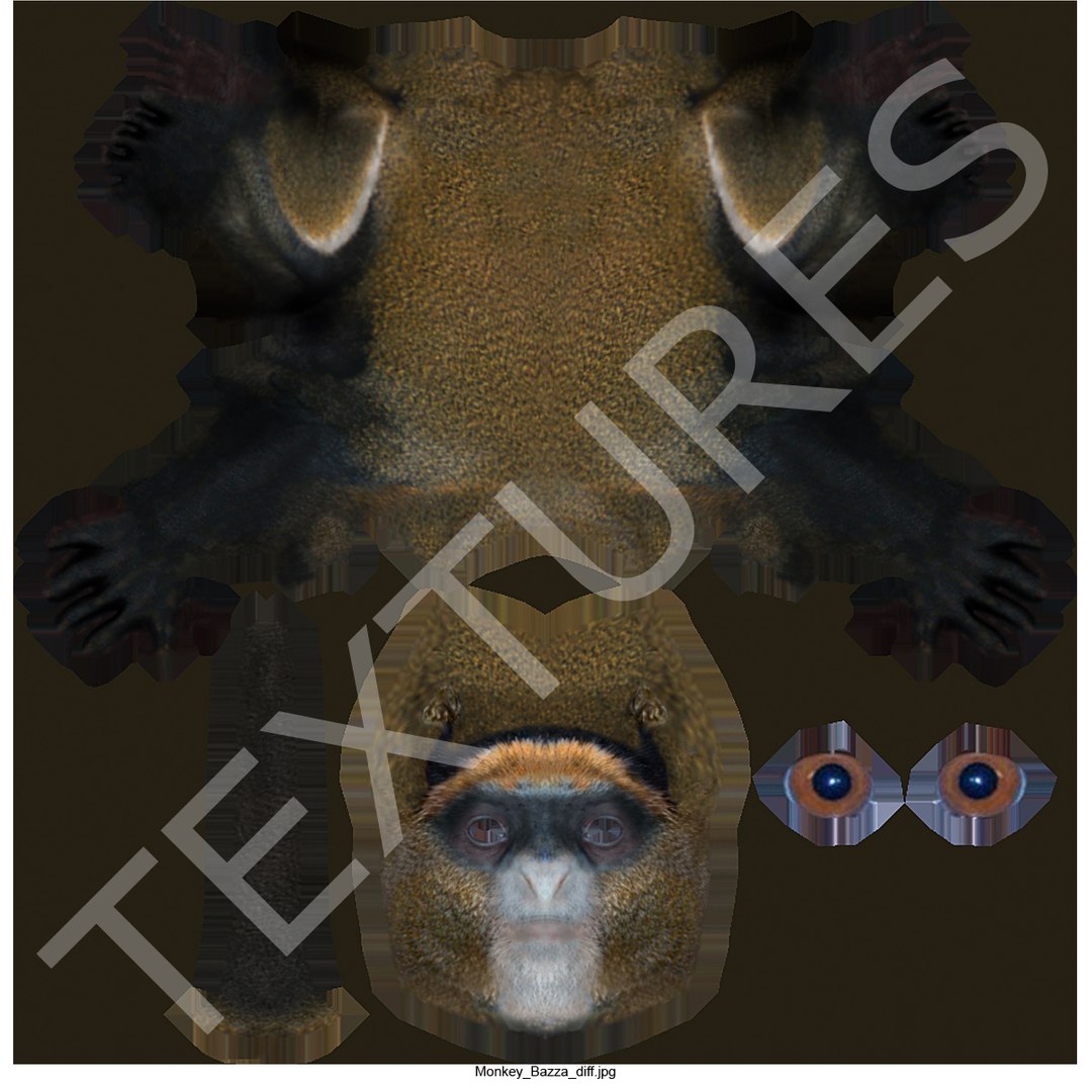 Brazza S Monkey 3d Max