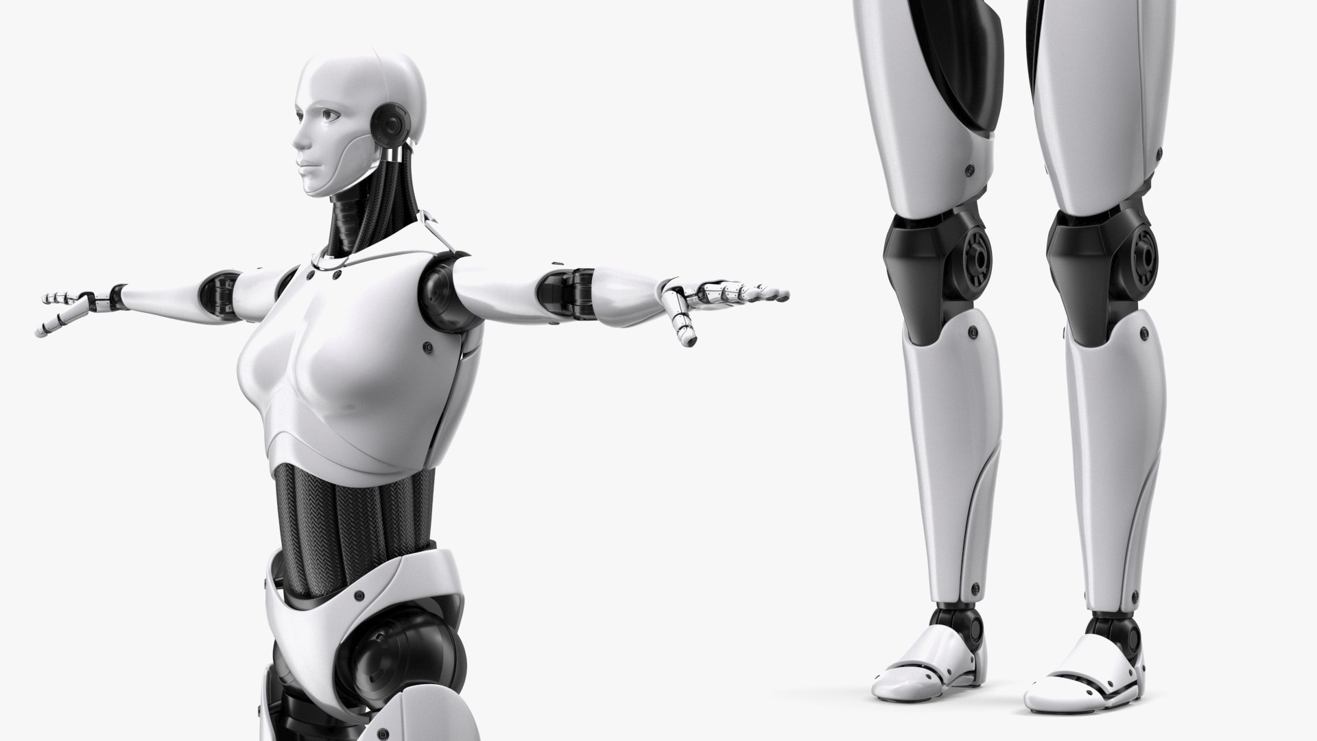 3D Rigged Robots Collection 9 for Cinema 4D model https://p.turbosquid.com/ts-thumb/pc/CM6S4s/C2/riggedrobotscollection9mb3dmodel032/jpg/1692694232/1920x1080/fit_q87/ce04880a807a5513a3c0c99f53b573701f8080da/riggedrobotscollection9mb3dmodel032.jpg