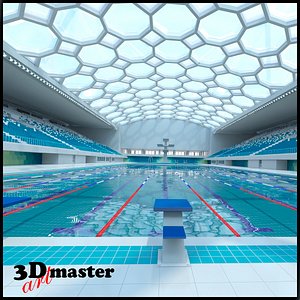 Olympic Swimming  Pool 2