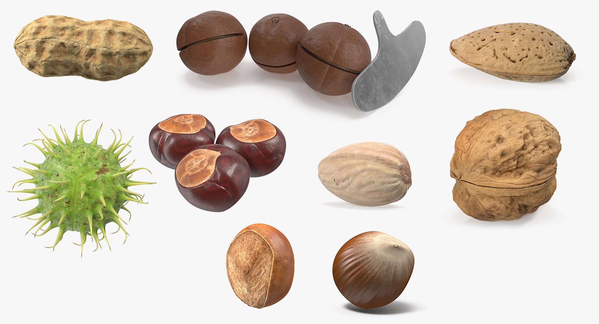 Nuts Collection 9 model https://p.turbosquid.com/ts-thumb/pc/RFW0PA/Wu/nutscollection93dmodel001/jpg/1709808558/1920x1080/fit_q87/fac3a4a3aceb0f8b7939ee5480d14ab05c2bd37c/nutscollection93dmodel001.jpg