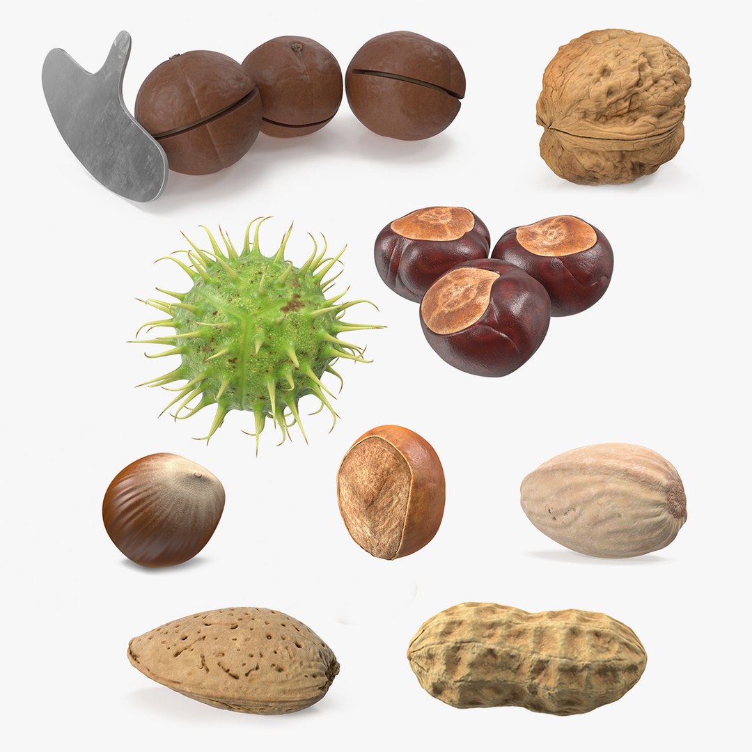 Nuts Collection 9 3D model preview