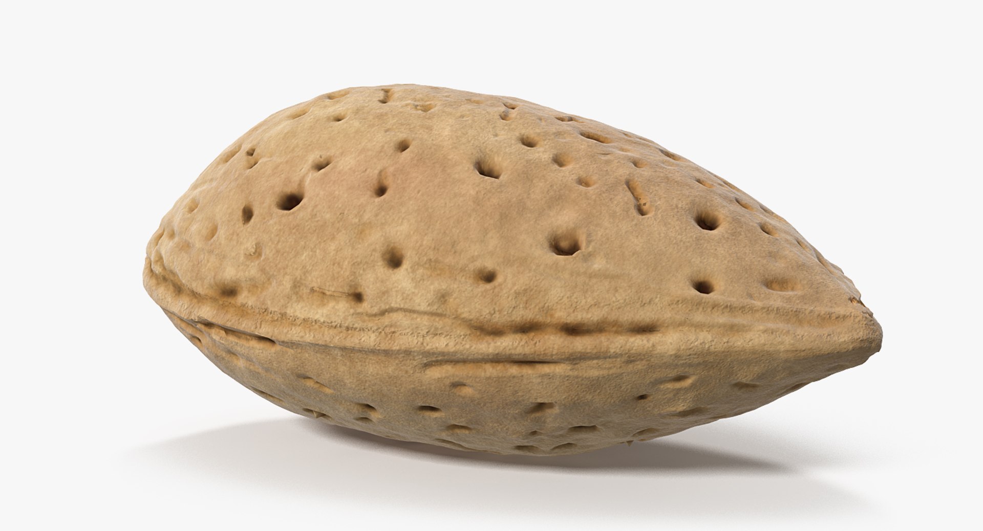 Nuts Collection 9 model https://p.turbosquid.com/ts-thumb/pc/RFW0PA/ia/nuts_collection_9_059/jpg/1709813332/1920x1080/fit_q87/f250ff0bcfcb6b68d90ec6d7f2c07c61445051f6/nuts_collection_9_059.jpg